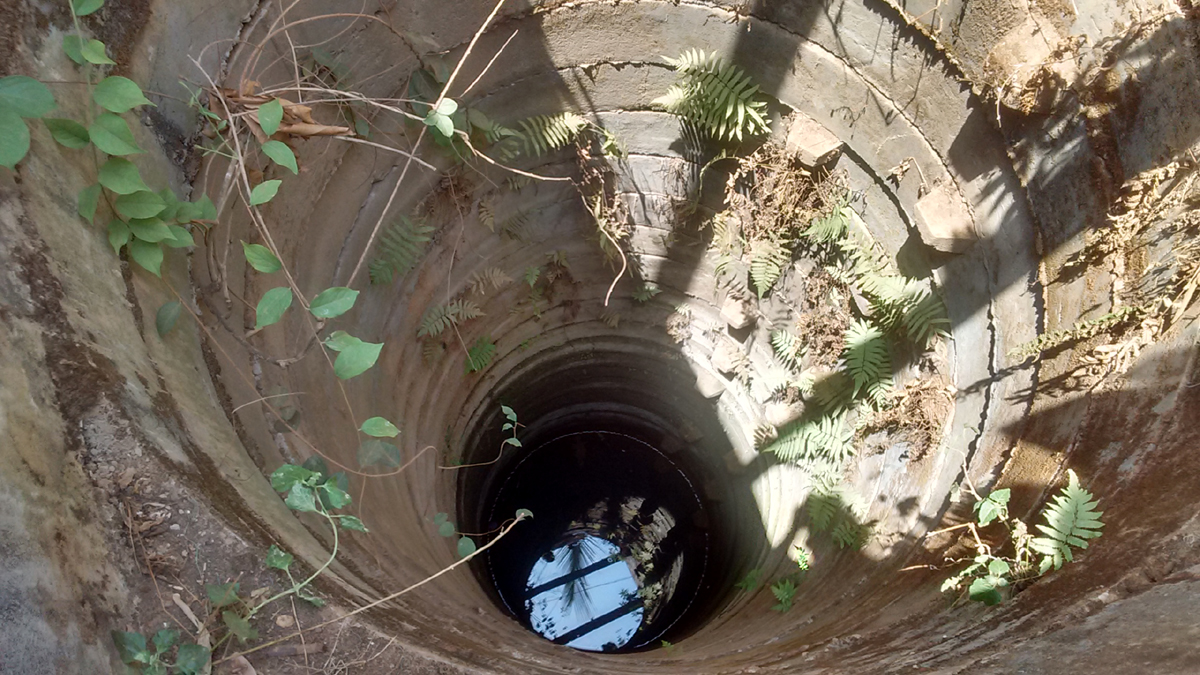 ಚಂದ್ರಗುತ್ತಿ ಹೋಬಳಿಯ ಬಾವಿಗಳಲ್ಲಿ ಅಚ್ಚರಿ