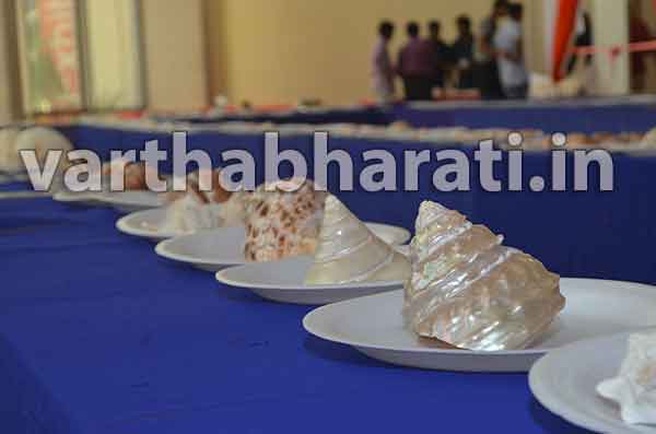 ಮಂಗಳೂರು : ಕಣ್ಮನ ಸೆಳೆವ ಆಲಂಕಾರಿಕ ಮೀನುಗಳು!