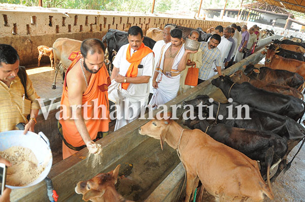 ಗೋತಳಿಯ ಉಳಿವಿಗಾಗಿ ಜಾಗೃತಿ ಅಗತ್ಯ, ಪಜೀರು: ಜ್ಯೋತಿಷ್ಯಜ್ಞರ ಸಮಾವೇಶದಲ್ಲಿ ಕಾಣಿಯೂರು ಶ್ರೀ