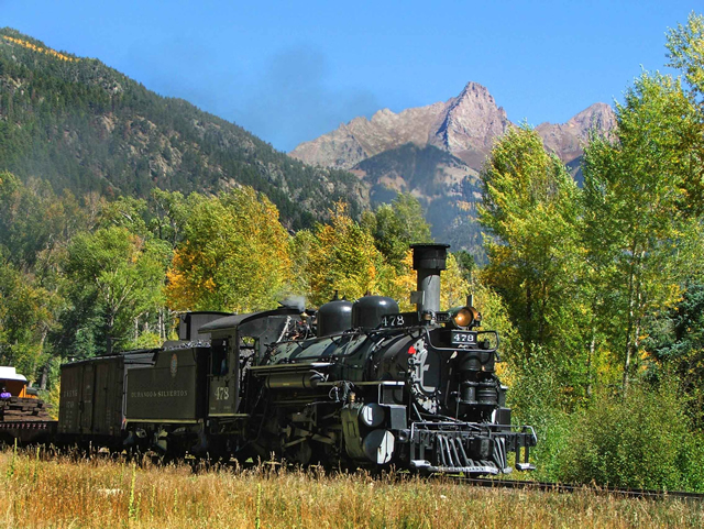ರೈಲ್ವೆ ಮಾರ್ಗದ ಉದ್ದಕ್ಕೂ ನೀಲಗಿರಿ ಬದಲು ಹೊಂಗೆ, ಬೇವು, ಪರಿಸರ ಸ್ನೇಹಿ ಮರಗಳನ್ನು ಬೆಳೆಸಲು ಆದ್ಯತೆ ನೀಡಬೇಕು
