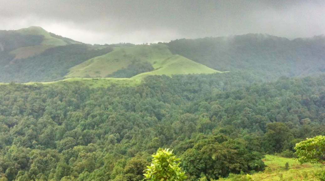 ಎಸ್ಟೇಟ್ ಮಾಫಿಯಾಕ್ಕೆ ಜೀವ ಸಂಕುಲಗಳು ತತ್ತರ
