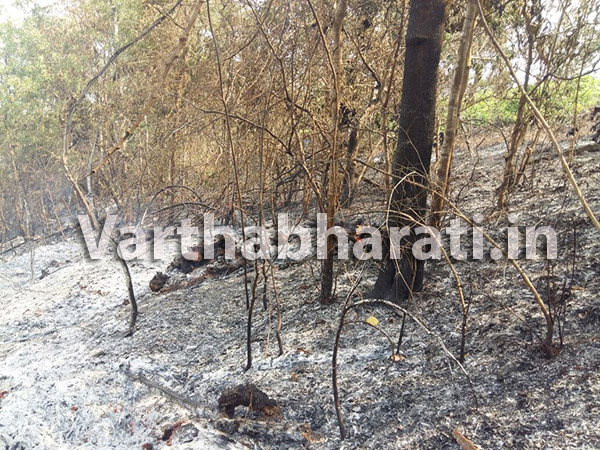 ಶಕ್ತಿನಗರದಲ್ಲಿ ಬೆಂಕಿ ಆಕಸ್ಮಿಕ