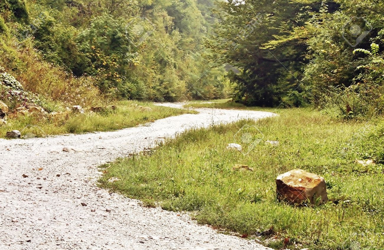 ಪುತ್ತೂರು: ಮೀಸಲು ಅರಣ್ಯದೊಳಗೆ ಅಕ್ರಮ ರಸ್ತೆ ನಿರ್ಮಾಣಕ್ಕೆ ಯತ್ನ: ಮೂವರ ಸೆರೆ