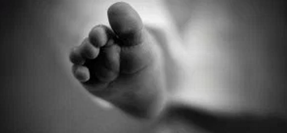 ಮೂರು ತಿಂಗಳ ಮಗುವಿಗೆ ಕಚ್ಚಿದ ಇಲಿ!: ಮಗುವಿನ ಆರೋಗ್ಯ ಸ್ಥಿತಿ ಗಂಭೀರ