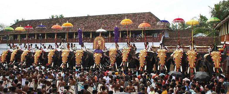 ಪೂರಂ ಉತ್ಸವದಲ್ಲಿ ಸುಡುಮದ್ದು ಪ್ರದರ್ಶನಕ್ಕೆ ಹೈಕೋರ್ಟ್ ಅಸ್ತು