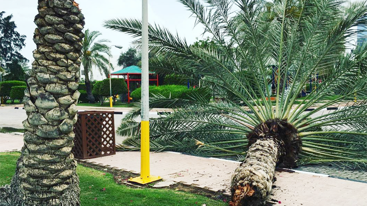 ಕತರ್‌ನಲ್ಲಿ ನಾಶ-ನಷ್ಟ ತಂದ ಗಾಳಿಮಳೆ