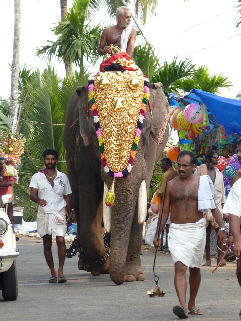 ಪೂರಂನಲ್ಲಿ ಆನೆಗಳಿಗೆ ಚಿತ್ರಹಿಂಸೆ ಪ್ರಾಣಿಪ್ರೇಮಿಗಳ ಆರೋಪ