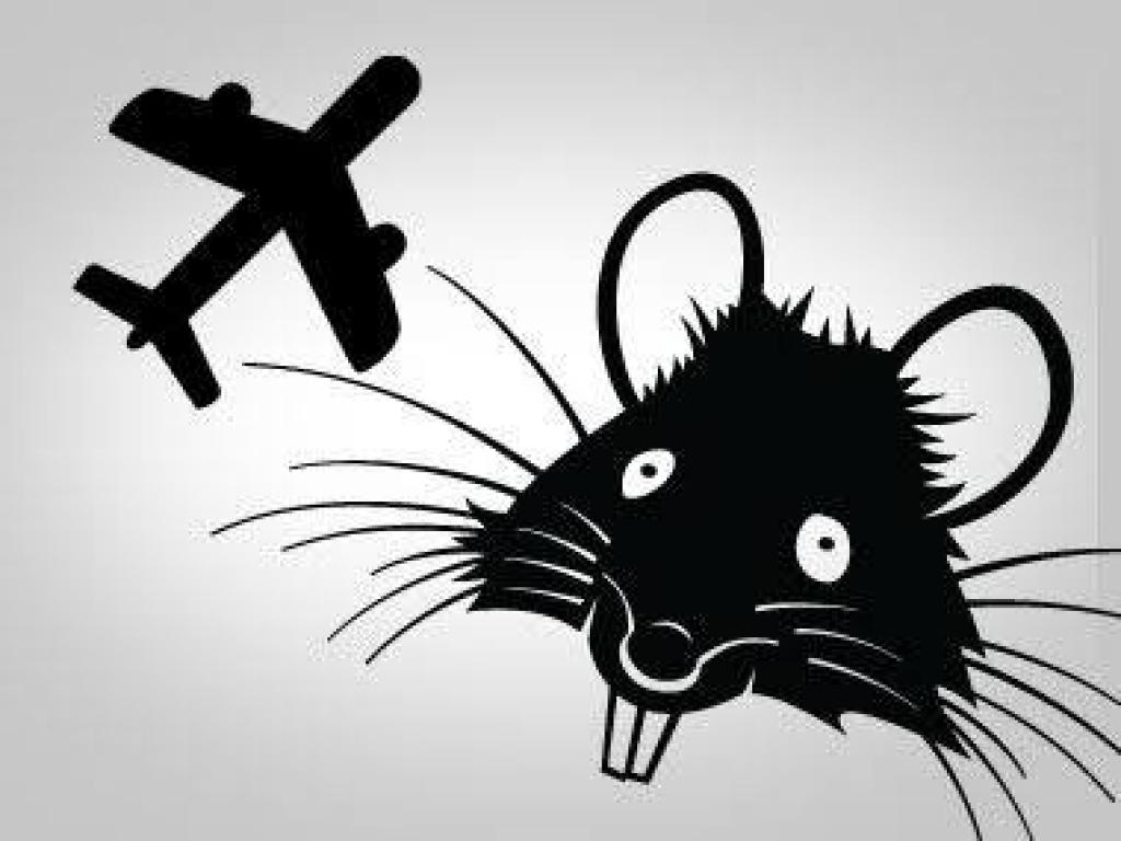 ಮೆಲ್ಬೋನ್- ದಿಲ್ಲಿ ಏರ್‌ಇಂಡಿಯಾ ಡ್ರೀಮ್‌ಲೈನರ್ ವಿಮಾನವನ್ನು ಸಿಂಗಾಪುರಕ್ಕೆ ತಿರುಗಿಸಿದ...