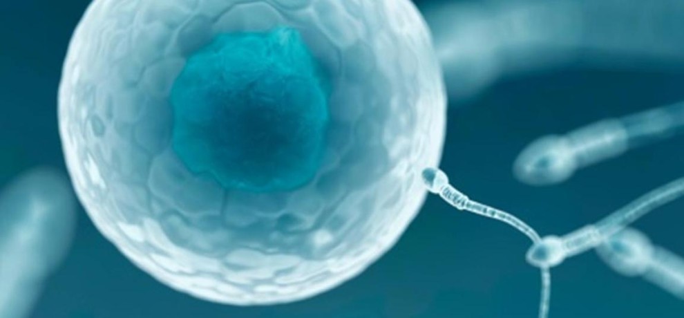 ಗರ್ಭದಲ್ಲಿಯೇ ಭ್ರೂಣದ ರೋಗ ತಪಾಸಣೆಗೆ ದೇಶದ ಹಲವು ರಾಜ್ಯಗಳಲ್ಲಿ ತಪಾಸಣಾ ಕೇಂದ್ರ