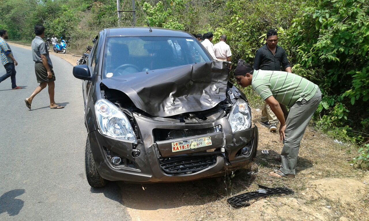 ಕಾರು ಢಿಕ್ಕಿ-  ಕಡಬದಲ್ಲಿ ಕಡವೆ ಸಾವು