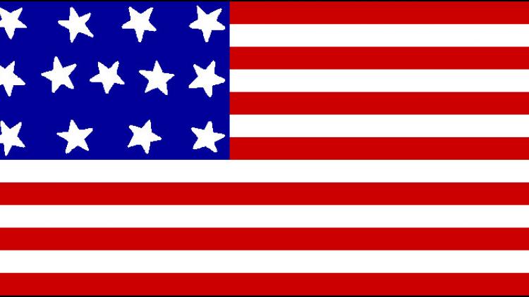 ಅಮೆರಿಕ: ಭಾರತ ಅಪಹರಣಕಾರರ ಪ್ರಧಾನ ಅಡ್ಡೆ ಎಂದ ಪ್ರತಿಭಟನಕಾರರು!