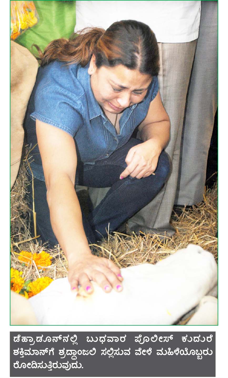 ಸಂಪೂರ್ಣ ಪೊಲೀಸ್ ಗೌರವದೊಂದಿಗೆ ಭೂತಾಯಿಯ ಒಡಲು ಸೇರಿದ ‘ಶಕ್ತಿಮಾನ್’