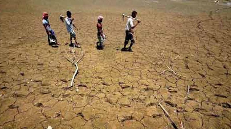 Activists, Academics Write Open Letter to PM Modi on the Drought