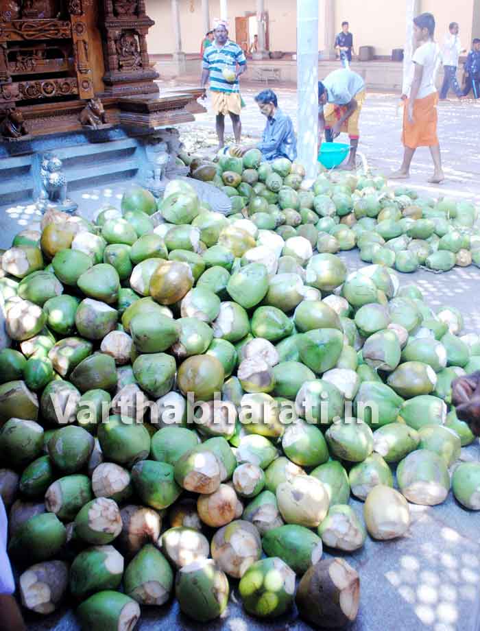ಪುತ್ತೂರು: ಮಳೆಗಾಗಿ ಮಹಾಲಿಂಗೇಶ್ವರ ದೇವಾಲಯದಲ್ಲಿ ಸೀಯಾಳಾಭಿಷೇಕ