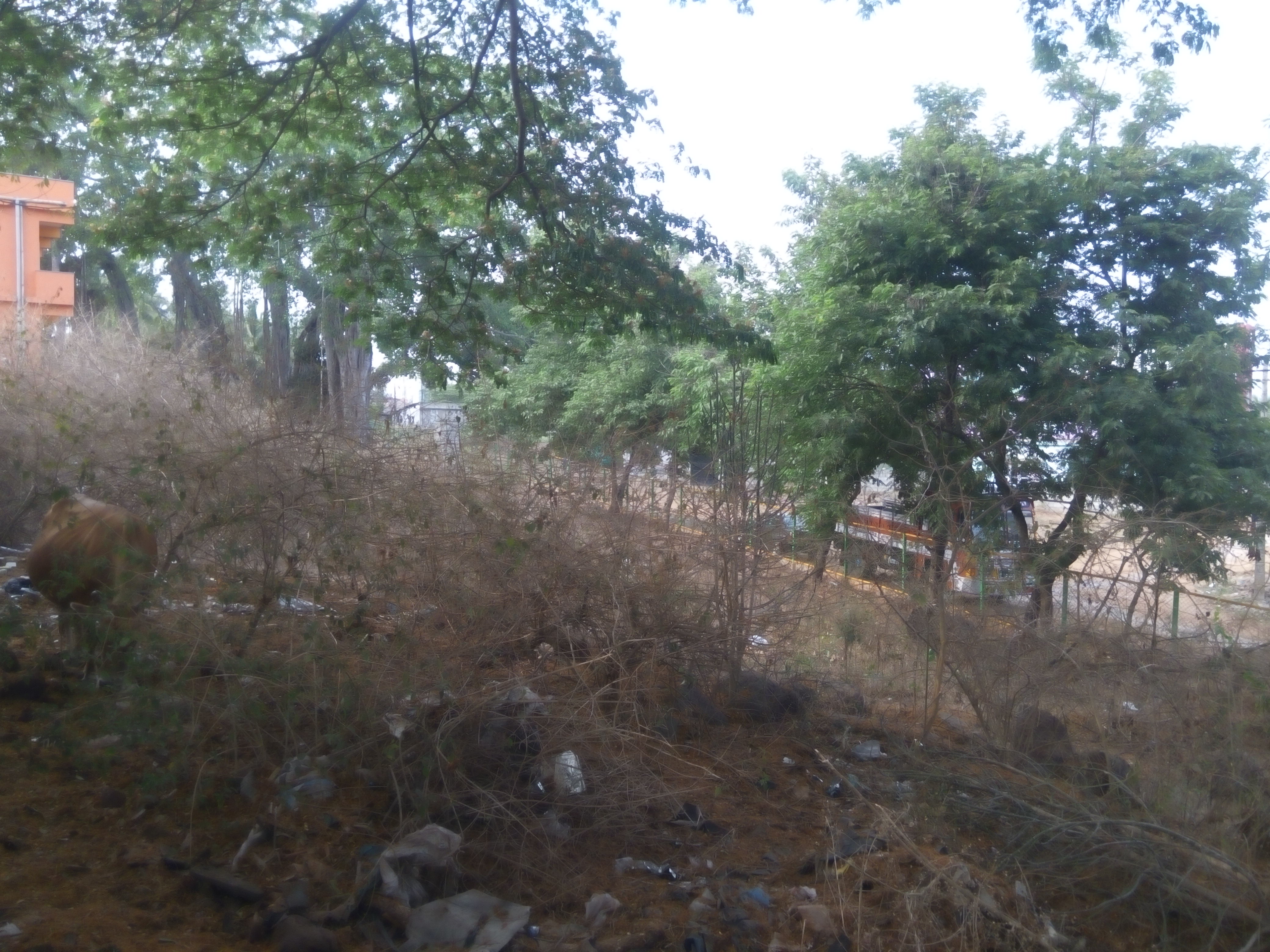 ಕುಶಾಲನಗರ: ಪಾಳು ಬಿದ್ದಿರುವ ಬಡಾವಣೆಗಳ ಉದ್ಯಾನವನ