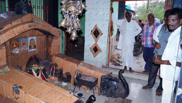 ಬಿಹಾರ ಮದ್ಯ ನಿಷೇಧದಿಂದ ಬಾಯಾರಿರುವ ದೇವರುಗಳು !