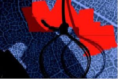 ಮಹಿಳೆ ಆತ್ಮಹತ್ಯೆ: ಪೊಲೀಸ್ ಠಾಣಾಧಿಕಾರಿ ಬಂಧನ