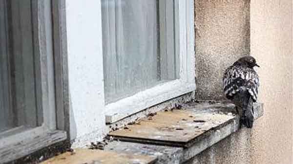 ಅಪಾಯ! ಇದು ಶ್ವಾಸಕೋಶದ ಕಾಯಿಲೆಯ ಟೈಮ್ ಬಾಂಬ್‌