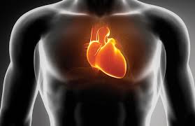 ಯುವಕರೇ ನಿಮ್ಮ ಹಾರ್ಟ್ ಎಷ್ಟು ಸೇಫ್, ಗೊತ್ತಿದೆಯೇ?