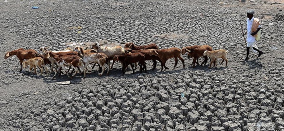 ದೇಶದಲ್ಲಿ ಬರಪರಿಸ್ಥಿತಿ ಎದುರಿಸಲು ಪ್ರತ್ಯೇಕ ಟಾಸ್ಕ್‌ಪೋರ್ಸ್ ಕೇಂದ್ರ ಸರಕಾರ ರಚಿಸಬೇಕು: ಸುಪ್ರೀಂಕೋರ್ಟ್