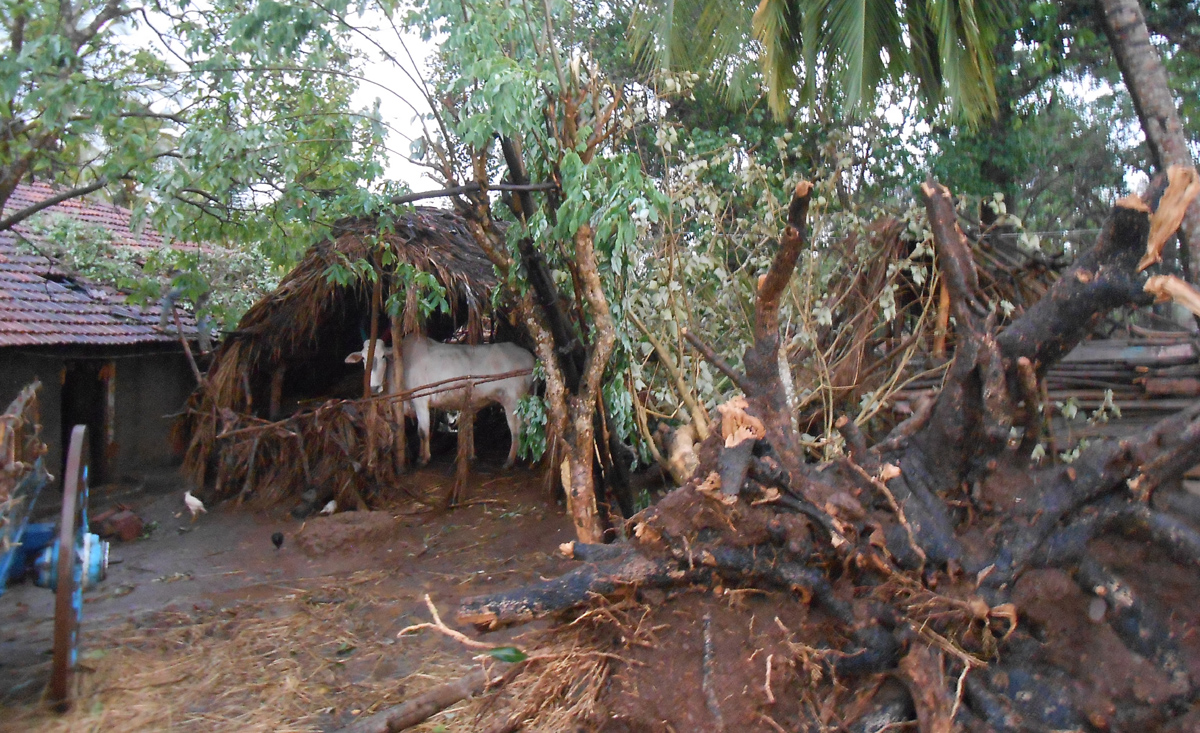 ಸೊರಬ: ಸಿಡಿಲು ಬಡಿದು ಓರ್ವ ಸಾವು; ನಾಲ್ವರು ಗಂಭೀರ