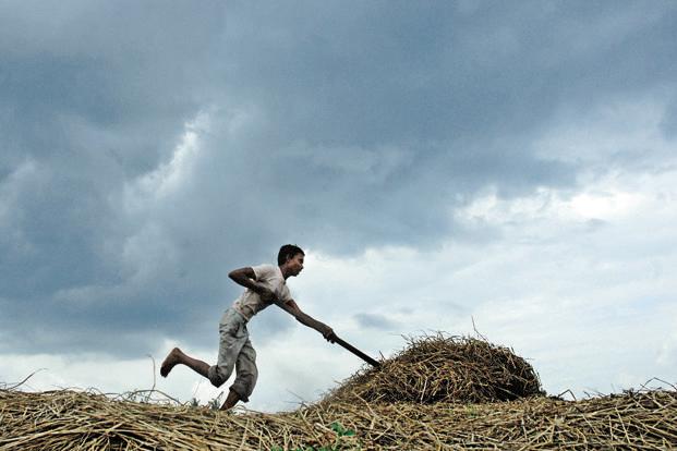 ಜೂನ್‌ 7 ರಂದು ಮುಂಗಾರು ಕೇರಳ ಪ್ರವೇಶ