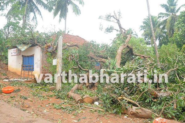 ಗಾಳಿ ಮಳೆಗೆ ಬಂಟ್ವಾಳ ತಾಲೂಕು ತತ್ತರ! : 2.31 ಕೋಟಿ ರೂ. ನಷ್ಟ