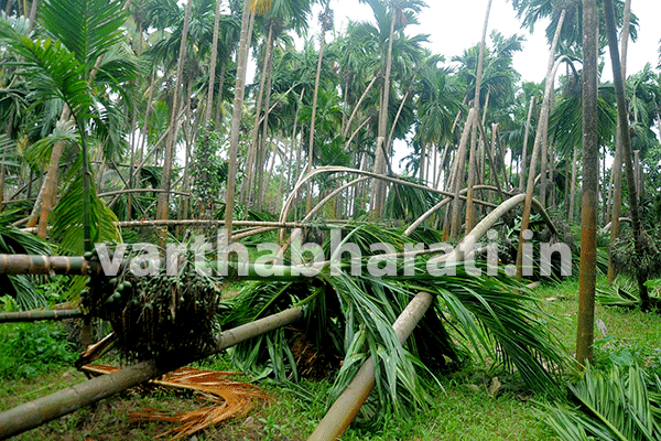 ಬಂಟ್ವಾಳ: ಭಾರೀ ಬಿರುಗಾಳಿ