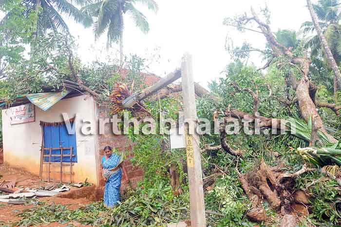 ಭಾರೀ ಗಾಳಿ, ಮಳೆಯಿಂದ ವ್ಯಾಪಕ ಹಾನಿ: ಇನ್ನೂ ಸಹಜ ಸ್ಥಿತಿಗೆ ಮರಳದ ಬಂಟ್ವಾಳ ತಾಲೂಕು