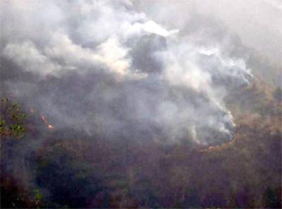 ಉತ್ತರಾಖಂಡ ಕಾಳ್ಗಿಚ್ಚಿನ ಹಿಂದೆ ಟಿಂಬರ್ ಹಾಗೂ ಭೂ ಮಾಫಿಯಾ !