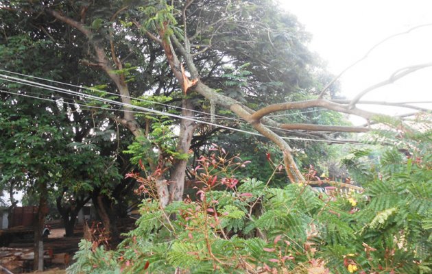 ಮಂದಗತಿಯಲ್ಲಿ ಸಾಗುತ್ತಿರುವ ಪರಿಹಾರ ಕಾರ್ಯ: ಬಿಜೆಪಿ ಆರೋಪ