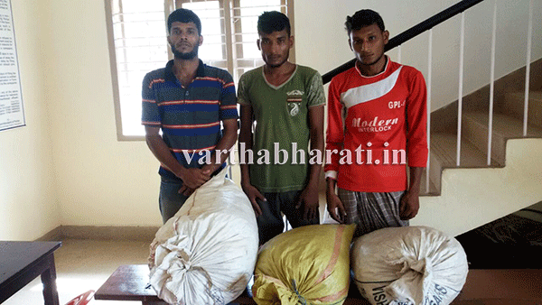 ಅಡಿಕೆ ಕಳವು ಪ್ರಕರಣ: ಮೂವರು ಆರೋಪಿಗಳ ಬಂಧನ