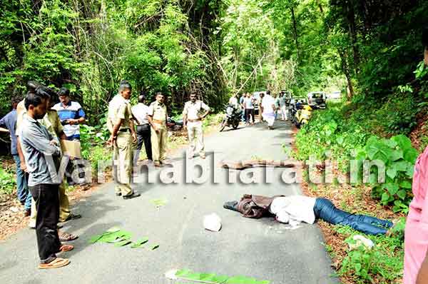 ಸುಬ್ರಹ್ಮಣ್ಯ: ಕಾಡಾನೆ ದಾಳಿಗೆ ಯುವಕ ಮೃತ್ಯು; ಓರ್ವ ಗಂಭೀರ