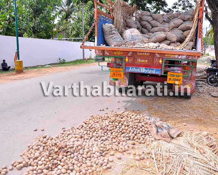 ಬಿತ್ತನೆಗೆ ಕಳಪೆ ಆಲೂಗೆಡ್ಡೆ ಪೂರೈಕೆ: ರಸ್ತೆಗೆ ಸುರಿದು ರೈತರ ಆಕ್ರೋಶ