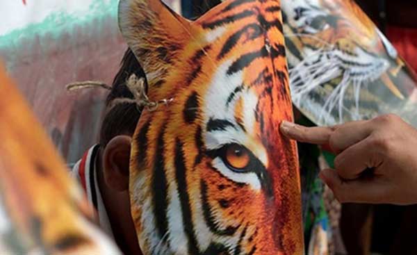 ಭಾರತೀಯ ಹುಲಿಗಳ ಸಂಖ್ಯೆ 2,226: ಆದರೆ ಹಿಂದಿನ ಸತ್ಯ?