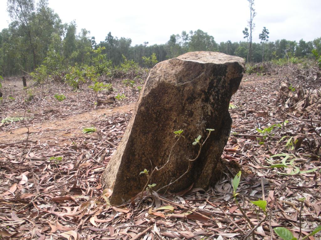 ಆರಗ ಸಮೀಪದ ಹಿರೇಗದ್ದೆಯಲ್ಲಿ ಶಿಲಾಸಮಾಧಿ ಪತ್ತೆ
