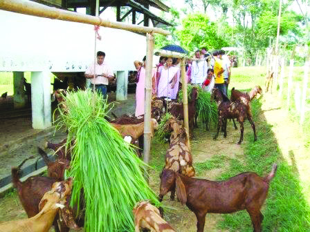 ಆಡು ಕುರಿ ಸಾಕಣೆದಾರರ ಸಹಕಾರ ಮಹಾಮಂಡಳ