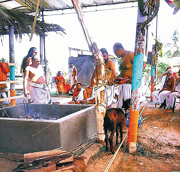 ಮತ್ತೂರಿನಲ್ಲಿ ಸೋಮಯಾಗ: ಮೇಕೆಯ ಮಾಂಸ, ಸೋಮರಸ ಸೇವಿಸಿದ ಬ್ರಾಹ್ಮಣರು!