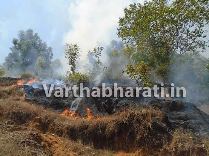 ಸೇದಿ ಎಸೆದ ಬೀಡಿ, ಸಿಗರೇಟ್ ತುಂಡಿನಿಂದ ಬೆಂಕಿಗಾಹುತಿಯಾಯ್ತು 2.5 ಎಕರೆ ಗುಡ್ಡ