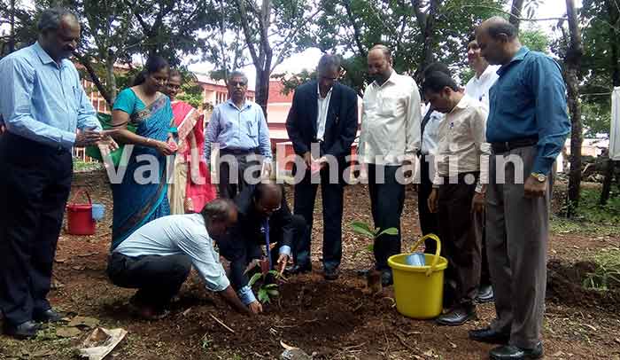 ಮಂಗಳೂರು ವಿವಿಯಲ್ಲಿ ವನಮಹೋತ್ಸವ ಕಾರ್ಯಕ್ರಮ
