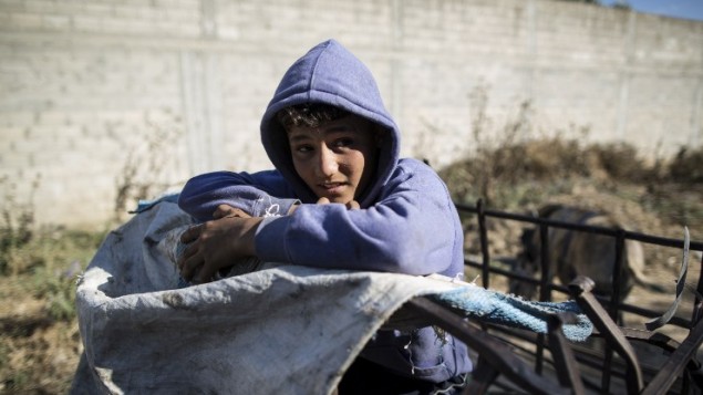 ಶಾಲೆ ಬಿಟ್ಟು ಕೆಲಸ ಮಾಡುತ್ತಿರುವ ಗಾಝಾದ ಮಕ್ಕಳು  ಯುದ್ಧ, ನಿರುದ್ಯೋಗದ ಪರಿಣಾಮ