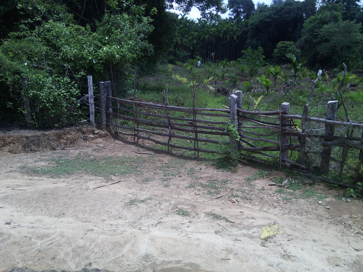 ಅಕ್ರಮ ಮರಳು ಸಾಗಾಟಕ್ಕೆ ತಾಲೂಕು ಆಡಳಿತದ ಬೆಂಬಲ