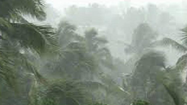 ಕೇರಳದಲ್ಲಿ ಭಾರೀ ಮಳೆ: ಕುಸಿದ ಮನೆಗಳು, ಸಾವು-ನೋವು!