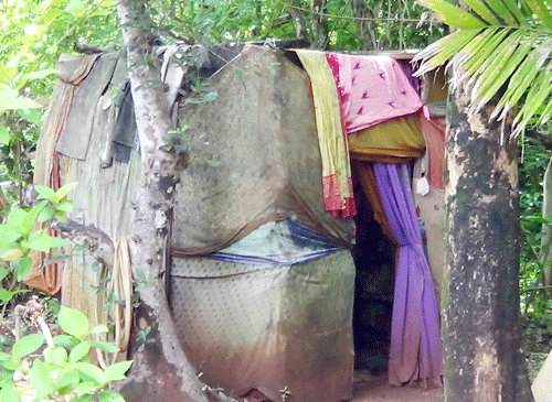 ಮೂಡುಬಿದಿರೆ ಪುರಸಭೆ ಸದಸ್ಯೆಯ ಮನೆಯಲ್ಲಿಯೇ ಶೌಚಾಲಯವಿಲ್ಲ!
