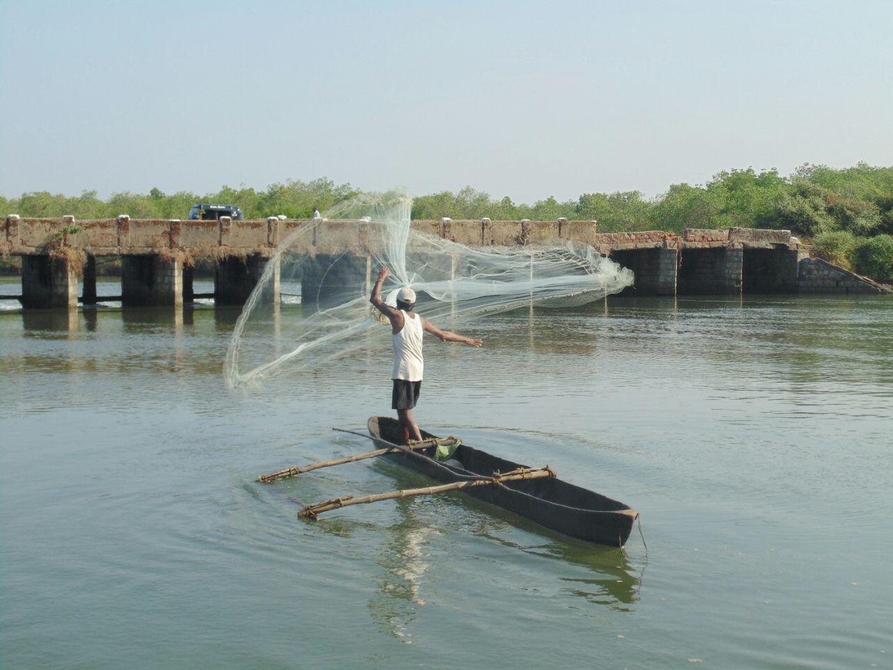 ಕಾರವಾರ: ಸಾಂಪ್ರದಾಯಿಕ ಮೀನುಗಾರಿಕೆ ಚುರುಕು