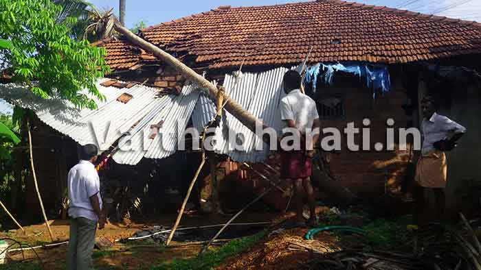 ಪುತ್ತೂರು: ತೆಂಗಿನಮರ ಬಿದ್ದು ಮನೆಗೆ ಹಾನಿ