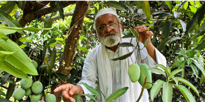 ಪದ್ಮಶ್ರೀ ಕಲೀಮುಲ್ಲಾ ಖಾನ್ ಎಂಬ ಕೃಷಿ ಕಲಾವಿದ !
