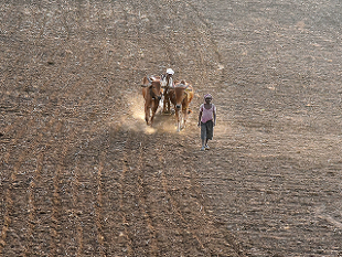 ಭಾರತಕ್ಕೆ ಮೋಡಬಿತ್ತನೆ ತಂತ್ರಜ್ಞಾನ ನೀಡಲು ಮುಂದಾದ ಚೀನಾ