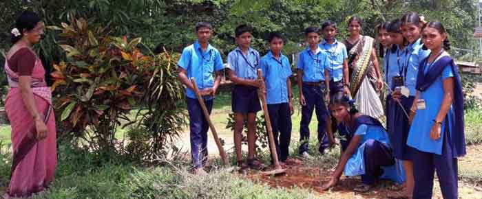 ಬಿಳಿನೆಲೆ: ವಿಶ್ವ ಪರಿಸರ ದಿನಾಚರಣೆ