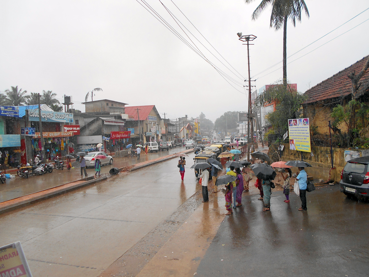 ತೀರ್ಥಹಳ್ಳಿ: ತಾಲೂಕಿನಾದ್ಯಂತ ಉತ್ತಮ ಮಳೆ